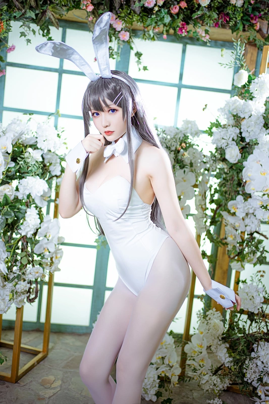 樱岛麻衣兔女郎 - 星之迟迟